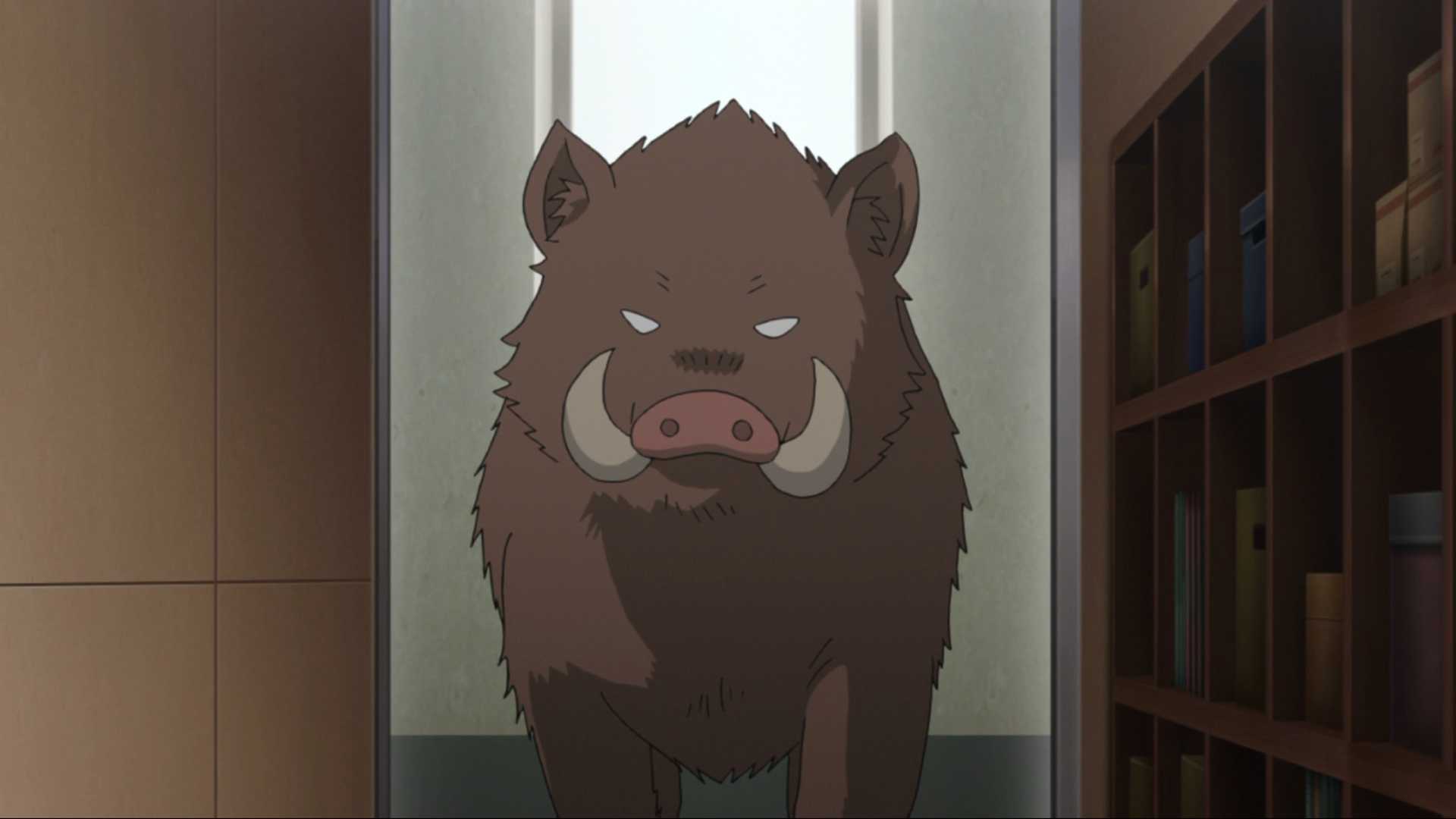 Heya Camp (PuyaSubs!)